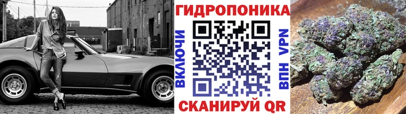 Бошки Шишки OG Kush  МЕГА ссылки  Пересвет  купить  